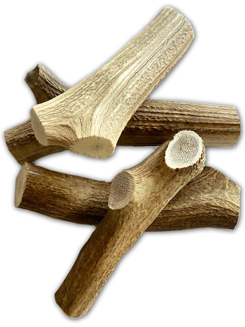 Jumbo Elk Chew-3